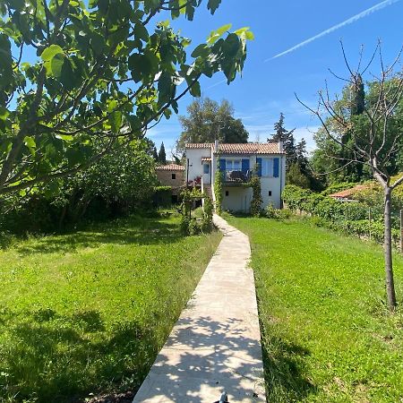 Petite Maison De Charme - Le Jardin Secret D'Alice Roquebrune-sur Argens Dış mekan fotoğraf