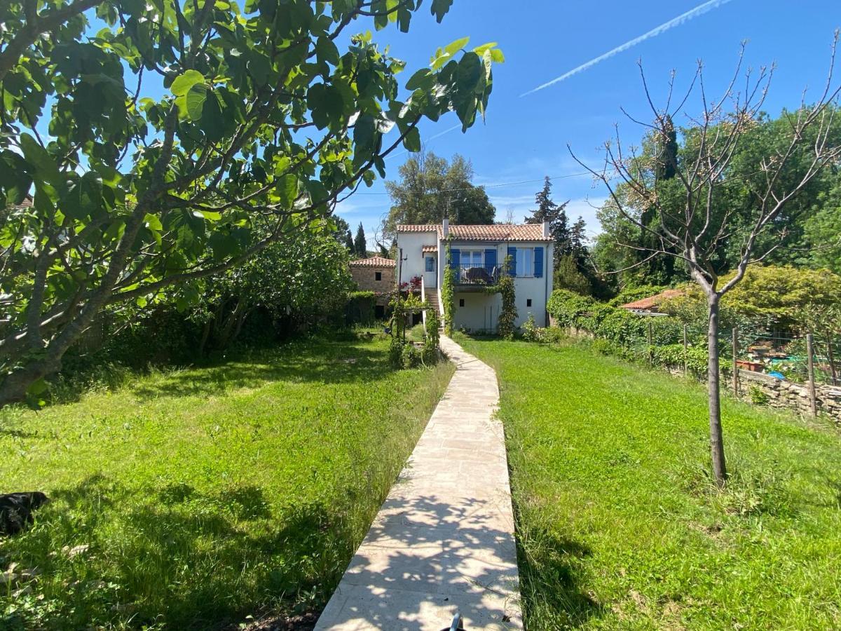 Petite Maison De Charme - Le Jardin Secret D'Alice Roquebrune-sur Argens Dış mekan fotoğraf