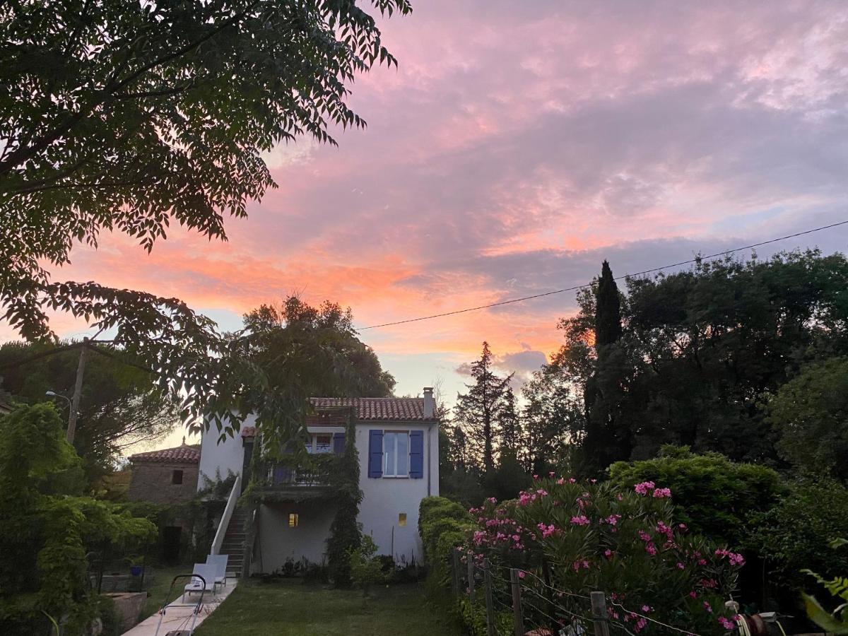 Petite Maison De Charme - Le Jardin Secret D'Alice Roquebrune-sur Argens Dış mekan fotoğraf